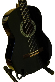 Klasická gitara Alvera acg244
